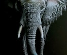 黒紙に色鉛筆でリアルな絵を描きます 黒紙アートとは他にない黒紙に色鉛筆でリアルな絵を描くアート イメージ5