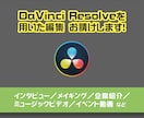 DaVinci Resolveでの編集を行います 【インボイス対応】DaVinci指定の編集案件お請けします！ イメージ1