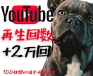 埋もれたあなたの動画を2万回再生引き上げます 再生されない悩みに終止符を！✨最初の追い風を2万回再生で！ イメージ1
