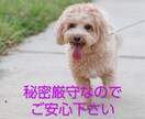 心軽やかに！スッキリして下さい。愚痴お聞きします 気持ちリフレッシュ！ストレス解消タイム。気軽にお話し下さい！ イメージ10