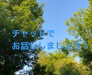 電話が苦手な方などチャットでお話しします 忙しくて電話ができない方電話が苦手な方向けに作りました！ イメージ1