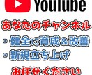 YouTubeでお悩みの方のコンサルします 健全で確実な方法でYouTubeを伸ばす方法を伝授 イメージ1
