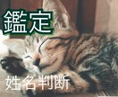 あなたと、お相手の相性、占います 20年以上の実績有り、あなたとお相手の相性を鑑定致します。 イメージ3