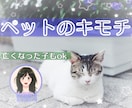 ペットちゃんの気持ち❇伝えます 初めての方歓迎❤すべての動物の子OK❤ イメージ1