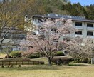 SAD（社会不安症）で悩んでいる方の相談のります 自社会不安症から立ち直った経験を生かしアドバイスします イメージ1