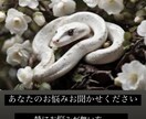 何でもお悩み相談下さい。お悩み1件につき1枚引ます 24時間以内にお答えします。お悩み解決、何でもご相談下さい。 イメージ1