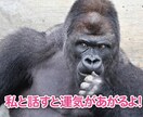 コミュ症一緒に改善させます 人と話すのが苦手！！それでも話を聞いて欲しい人.私に任せて イメージ2