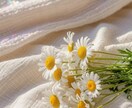 穏やかな対話で生きづらさを和らげます 周囲に気を使い、疲れてしまった方へ イメージ1