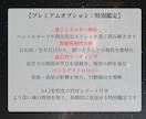 アニマルコミュニケーション｜魂と対話します 亡くなった子も可能。過去世や相性、エネルギー解析もできます イメージ6