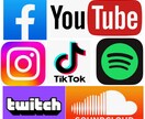 各種SNSフォロワーを1000人増やします Instagram,TikTokなど♪ イメージ1