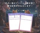 恋の悩み解決！星読み＆タロットで良い未来を導きます 占い歴5年の恋占い猫があなたに寄り添い背中を押すにゃ♡ イメージ3