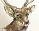 原画郵送✳︎動物を透明水彩や色鉛筆で描きます お好きな動物や愛するペットなど何でも描きます！ イメージ4