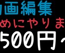 動画編集やります 2500円から簡単な作業をお受けします イメージ1