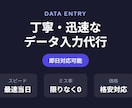 大量データも即日対応可丁寧・迅速にデータ入力します 正確・スピーディーにデータ入力対応します！ イメージ1