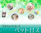 気になるあの人のトリセツ作ります 今なら！タロット占い、オラクルカードからメッセージ致します。 イメージ4