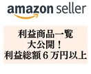 アマゾンセラーで実際に利益が出た商品を公開します 電脳せどり&店舗せどりの利益商品大公開！！Part1 イメージ1