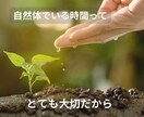 心がほっとできる時間にします 1分でも5分でも♪癒やしのひととき꙳✧˖° イメージ6