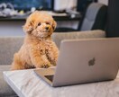 日常のモヤモヤや気になったことお話できます 愚痴聞きも得意です！人と話すだけでスッキリすることありますよ イメージ8