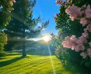 ポジティブにしてくれる誕生日占いします あなたの才能と幸運を最大限に引き出し読み解きます イメージ1