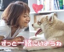 大切なわんちゃんのヒーリングをさせていただきます 大事な家族 ♡ わんちゃんのチャクラとオーラを整えます イメージ1