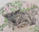 水彩色鉛筆で愛犬愛猫愛鳥の可愛いイラスト描きます 色とりどりのお花に囲まれ庭園にいるような優しい雰囲気の画風。 イメージ3