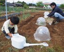 某テレビ番組の監修者が家庭菜園の悩みお答えします 家庭菜園で何から始めようか迷っている、失敗した事がある貴方へ イメージ5