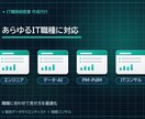 IT人材の職務経歴書を採用目線で作成します IT/データ/AI人材を統括する側の視点で伝わる職務経歴書に イメージ5