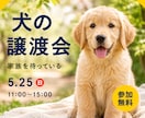 Webバナーを丁寧に制作します 伝わりやすく、目的に合わせたデザインをご提案 イメージ1