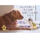 育児中に孤独を感じている方、お話聞きます ふと不安や孤独を感じて辛い…何でもいいです。お話しませんか？ イメージ1