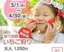 シンプルに伝わるバナーを作成します ＼0.5秒でメッセージが伝わるバナー／ イメージ2