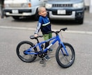 ネットの自転車ポチる前に！損回避のプロが診断します 粗悪品は全却下！自転車屋がコスパや維持リスクを購入前ガチ診断 イメージ7