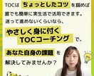元大手コンサルタントがTOC実践をお手伝いします 【1ヶ月集中】本質思考「ザ・ゴール」TOCビジネスコーチング イメージ3
