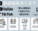 初心者歓迎！丁寧な対応でショート動画編集します 素材を渡すだけでOK！丁寧に制作します。 イメージ1