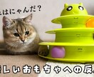 ジャンル限定！YouTube用サムネイル作成します ペット・スピ系限定ですが、丁寧に作成させていただきます。 イメージ3
