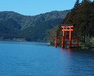 龍が貴方にアドバイスします あなたに必要なメッセージを伝えます。心が楽になりますように イメージ2