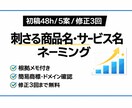 刺さる商品名・サービス名のネーミング提案します 初稿48h目安｜理由・背景付き｜商標&ドメイン簡易確認 イメージ1