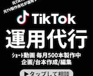 映像製作のプロがTiktokを伸ばします 毎月ショート動画500本製作！圧倒的な実績！ イメージ1