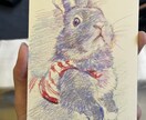 色鉛筆でペットの似顔絵ポストカード制作します 色鉛筆で雰囲気のある色味の似顔絵を描きます！ イメージ3