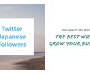 日本人のTwitterフォロワーを増加します SNSページのブランド価値を高めたい方へ イメージ1