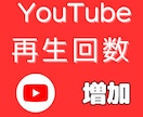 YouTube【再生回数】＋5000回宣伝します YouTube動画を【全世界】に拡散・再生回数をUPします！ イメージ1