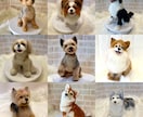 5名限定　愛犬のうちの子オーダーお作りします もう一度会いたい愛犬を羊毛フェルトでお迎えしませんか？ イメージ10