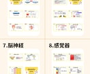 看護師国家試験 | 国試の要点のみを総復習できます 解剖生理の基礎から統計学まで看護師国家試験の範囲を完全網羅！ イメージ7