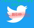 Twitteアクティブ日本人フォロワー増やします 期間限定！4000→2500!！安心の返金制度あります！ イメージ1