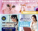 お客様の思いに寄り添ったバナーデザインを作成します 1月限定【1枚 1,500円】で提供致します イメージ4