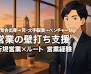 営業初心者向け壁打ちアドバイスします 大手×ベンチャーMgrが営業壁打ち支援 イメージ1