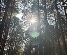 強力な温波！遠隔レイキヒーリングをお届けします 熱量が半端ない！！心身を温め溶きほぐすエネルギーです イメージ3