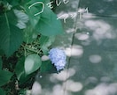 写真に手書き文字を入れます 思い出の写真に、ことばを添えて イメージ6