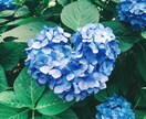 話したいことを聴かせてください。あなたを癒します コミュニケーション不足解消に♪とことん寄り添います。 イメージ2