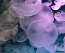 恋のお悩みやのろけ聞きます 恋人や片思いの相手にたいする悩み、惚気なんでもOK！ イメージ1