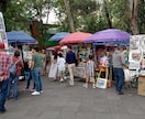 初めてでも安心、メキシコシティの旅ご相談承ります 現地ガイドの情報、ビデオ後に質問1往復つき（プラン作成可） イメージ3
